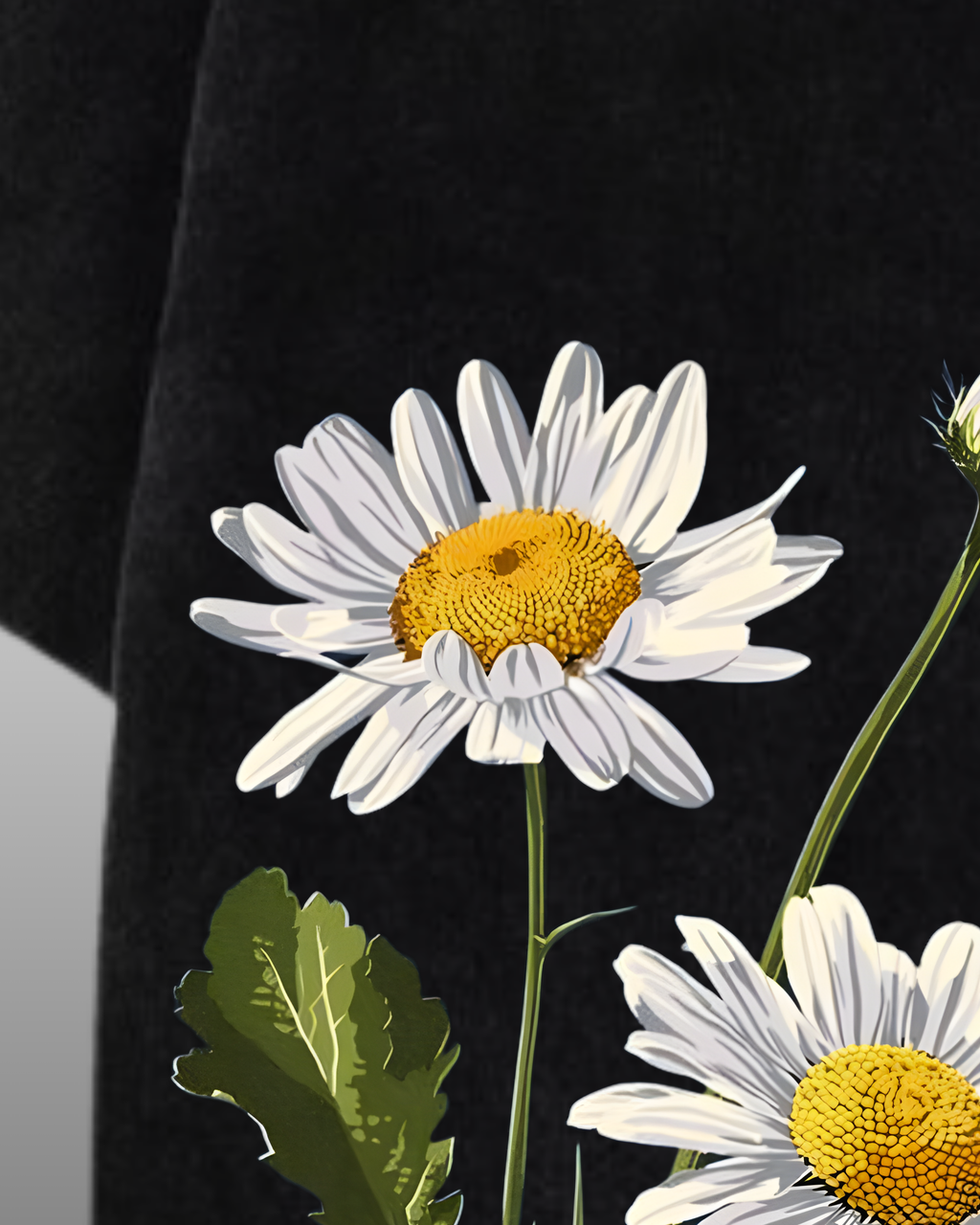 OXEYE DAISY | ACIDWASH | 240 GSM